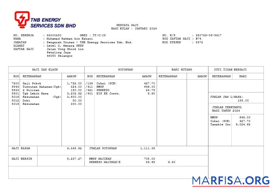 Blank TNB Energy Services payslip example